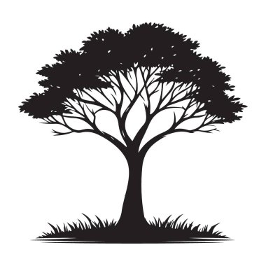 Muhteşem Ağaç Silueti İllüstrasyon Sembolü Doğanın Ebedi Güzelliğinin