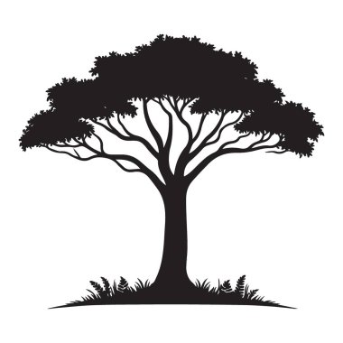 Görkemli Ağaç Silueti Çimen Resimli Doğanın Huzurlu Güzelliği