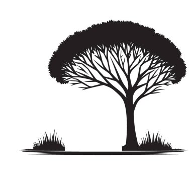 Afrika Akasya Ağacı Vektör Grafik Doğa Tasarımı Silueti