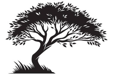 Yaprakları ve Çimen Yamalı Bir Ağacın Ayrıntılı Silueti