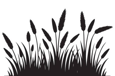 Uzun Çimenler Siluet Çizimi Doğa Temalı Projeler İçin Mükemmel