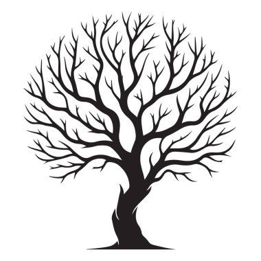 Ayrıntılı dalları olan çıplak bir ağaç dalının görkemli silüeti