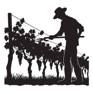 Üzüm Biçici Silüeti Vektör İllüstrasyonu Tasarım İçin Mükemmel