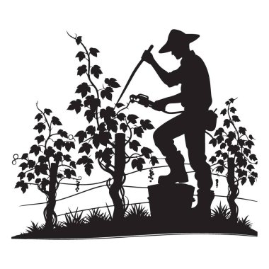 Üzüm bağına böcek ilacı sıkan bir üzüm bağının silueti.