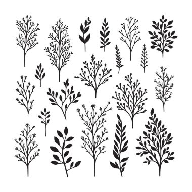 Tasarım için botanik dallar ve siluet toplama vektör çizimi
