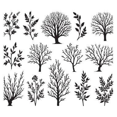 Tasarım için izole edilmiş vektör ağacı ve dal silueti koleksiyonu