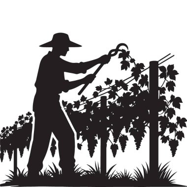 Üzüm bağı işçisi silueti budanmış üzüm üzümleri tarım ürünleri resimleme