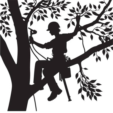 Ağaç Dallarında Yüksek Çalışan Ağaca Tırmanan Silueti