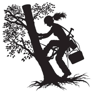 Yükselen bir Dişi Ağaç Tırmanışçısının Siluet Çizimi