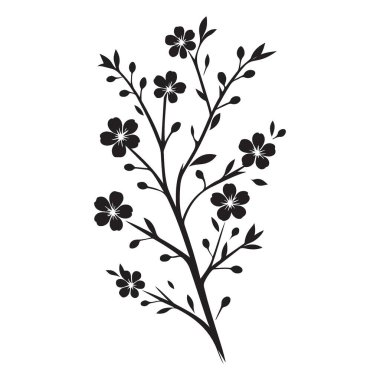 Zarif Kiraz Çiçeği Şubesi Silüet Vektör Tasarım İllüstrasyonu
