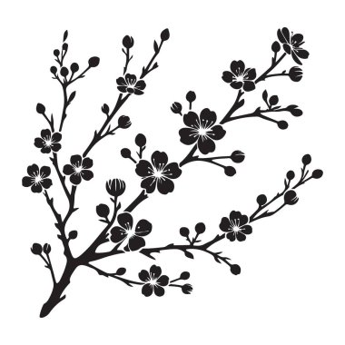 Ayrıntılı Kiraz Çiçeği Şubesi Silüet Vektör Tasarımı Çizimi