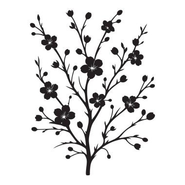 Duvar Dekorasyonu İçin Zarif Siyah Kiraz Çiçeği Şube İllüstrasyonu