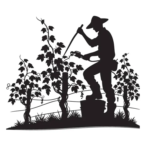 Üzüm bağına böcek ilacı sıkan bir üzüm bağının silueti.