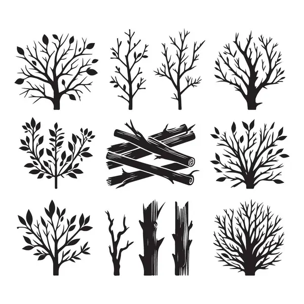 Siluet Ağaçları Dalları Vektör İllüstrasyon Doğa Ormanı Ormanı Seti
