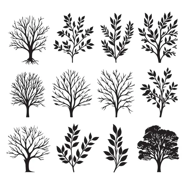 Botanik Projeleri için Ağaç Silueti Çeşitlilik Vektörü İllüstrasyonu