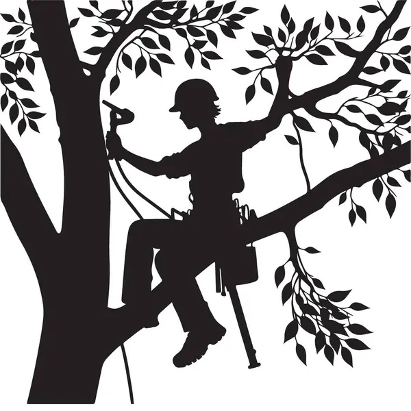 Ağaç Dallarında Yüksek Çalışan Ağaca Tırmanan Silueti