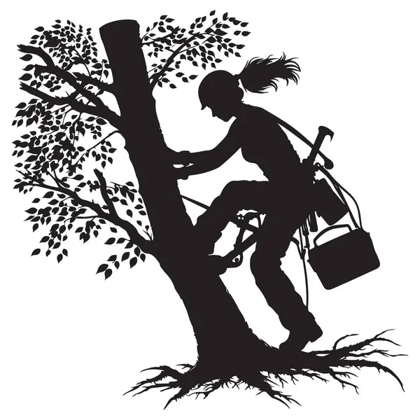 Yükselen bir Dişi Ağaç Tırmanışçısının Siluet Çizimi