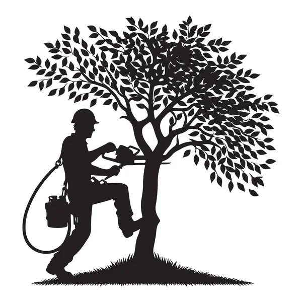 Ağaç budama Uzman Ağaç Kesme Uzmanı Vektör Sanatı