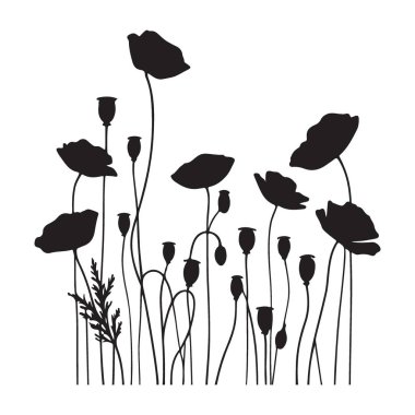 Poppy Flowers Siluet Vektörü Anma Günü Tasarımı