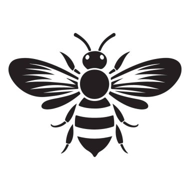 Görüntü Tasarımları İçin Detaylı Bal Arısı Görüntü Çizimi