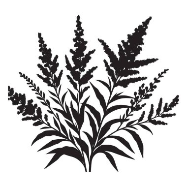 Botanik ve Doğa Tasarımları için Goldenrod Bitki Görünümü