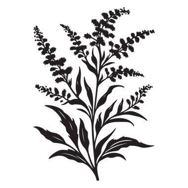 Altın Çubuklu Siluet Vektör Resimleri Yaban Çiçeği Botanik Tasarım Elemanı