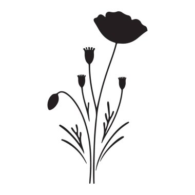 Gelincik Çiçeği Silüeti Vektör İllüstrasyon Botanik Çiçek Tasarım Elemanı