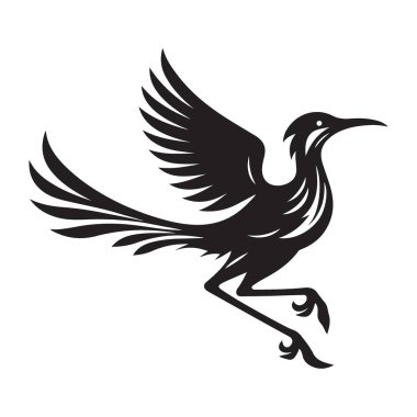 Roadrunner Bird Desert Wild Life Siyah Siluet Vektör Çizim Sanatı