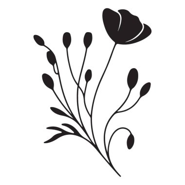 Gelincik Çiçeği Silüeti Botanik Tasarım Elemanının Çizimi