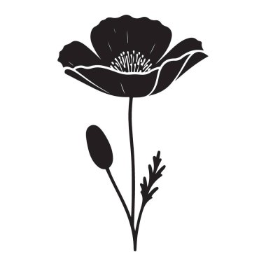 Oluşturduklarınız için Ayrıntılı Gelincik Çiçeği Silüeti Vektör Sanatı