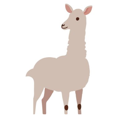 Çocuk Tasarımları ve Eğitimsel Malzemeler için Şirin Lama İllüstrasyonu