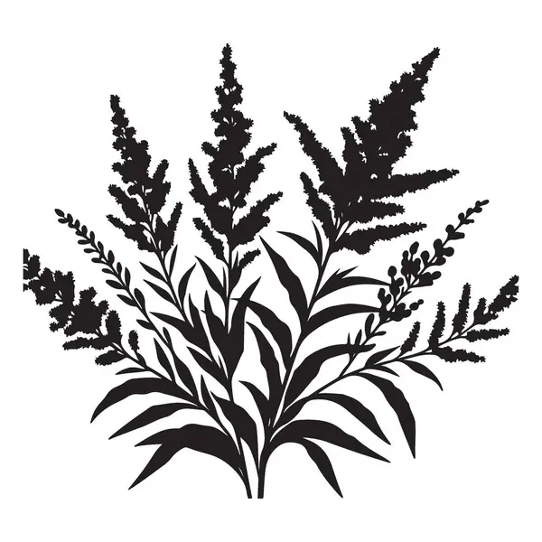 Botanik ve Doğa Tasarımları için Goldenrod Bitki Görünümü