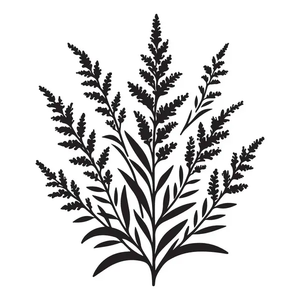 Goldenrod Silueti Çiçek İllüstrasyonu, Botanik Vektör Grafik Tasarım Elemanı