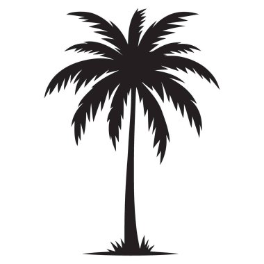 Yaz Projeleri için Ayrıntılı Palmiye Ağacı Silüeti Vektör Resimleri İdeal