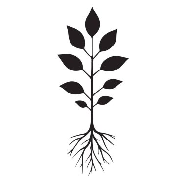 Kök Resimli Ağaç Kökleme Büyüme ve Çevresel Farkındalık