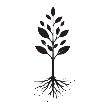 Kök Resimli Genç Ağaç Bitki Yaşamı ve Yeni Büyüme