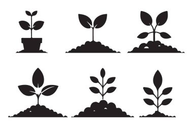 Seedling Growth Tarım ve Doğa için Siluet Vektör İllüstrasyonu
