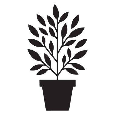 Zarif Saksı Bitkisi Silueti Mükemmel bir Botanik Aksanı