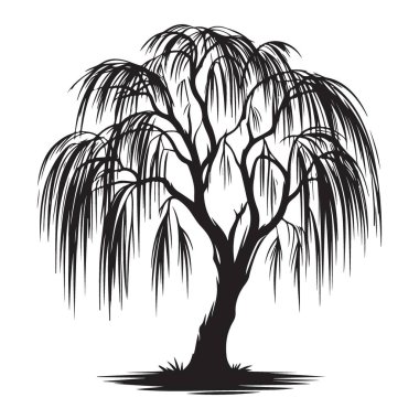 Siluet Ağlayan Söğüt Ağacı Zarif Vektör Tasarımı Çizimi