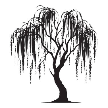 Ağlayan Söğüt Ağacı Resimlerinin Silueti Dayanıklılık ve Büyümeyi Sembolize Ediyor
