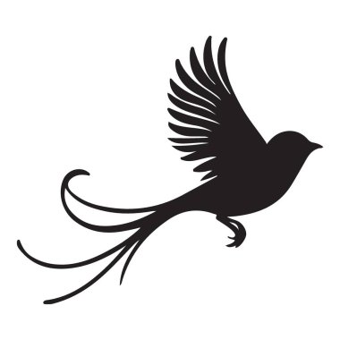 Akan Kuyruk Tüyleriyle Zarif Kuş Silueti Vektör Grafiği