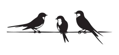 Kablo siluet çizim vektörü üzerinde üç kırlangıç kuşu