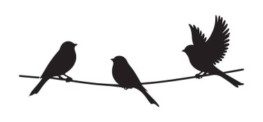 Kablodaki üç siluet kuş uçuş illüstrasyon vektörü alıyor