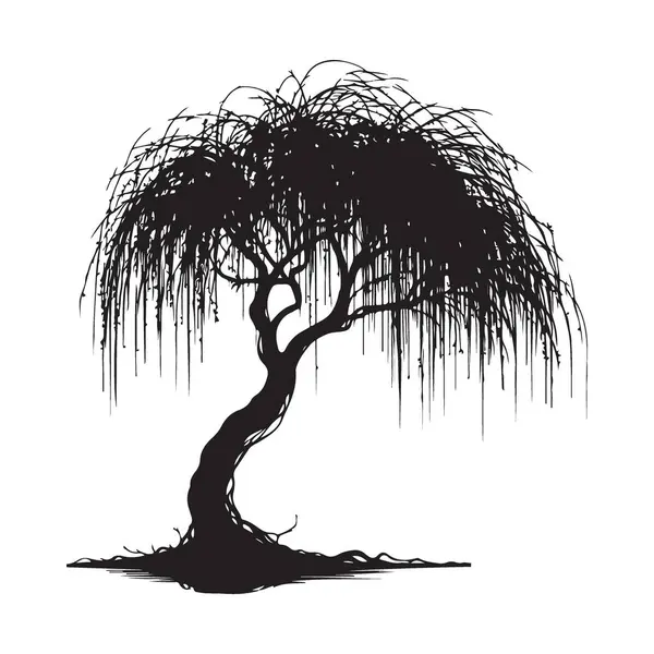 Ağlayan Söğüt Silueti Doğanın Huzur Tasarımı 'nda Zarif Ağaç