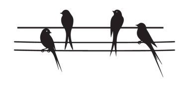 İki Kablo Tasarımı Üzerine Yutulan Kuşlar Siluet Vektörü