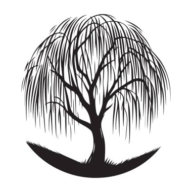 Ağlayan Söğüt Ağacı Silüeti Vektör Sanat İllüstrasyonu