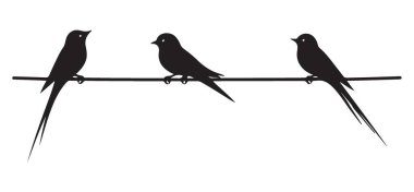 Kırlangıç Kuşlar Kablo Üzerinde Oturuyorlar Siyah Siluet Vektör Sanatı