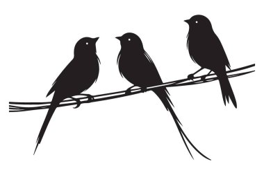 Bir Tel Vektör Resiminde Üç Siluet Kuşlar Grafik Tasarımı