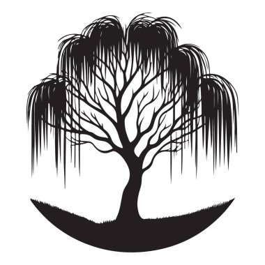 Söğüt Ağacı Silüeti Vektör İllüstrasyonu Doğal Grafik Tasarımı