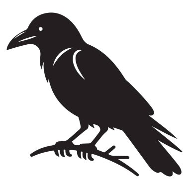 Gizemli Kuzgun Çizimi Siyah Siluet Vektör Sanatı Sembolizmi Kuşu
